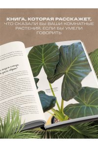 Кушнир М.А. Секреты комнатных джунглей. О чем молчат растения и как понять, что им нужно на самом деле