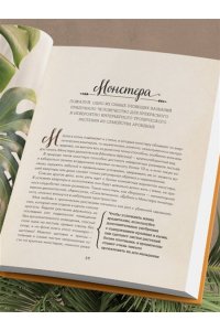 Кушнир М.А. Секреты комнатных джунглей. О чем молчат растения и как понять, что им нужно на самом деле