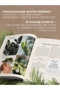 Кушнир М.А. Секреты комнатных джунглей. О чем молчат растения и как понять, что им нужно на самом деле