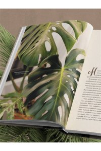Кушнир М.А. Секреты комнатных джунглей. О чем молчат растения и как понять, что им нужно на самом деле