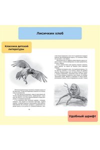 Лисичкин хлеб