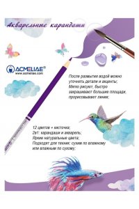 КАРАНДАШИ 12ЦВ ACMELIAE АКВАРЕЛЬНЫЕ (+КИСТОЧКА) 9401-12 (5368)