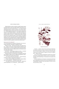 Осояну Н. Мифы и легенды Румынии