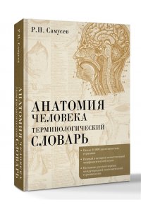 Самусев Р.П. Анатомия человека.Терминологический словарь