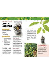 Адольф Д. Книга опытов для детей. Волшебство в стеклянной банке