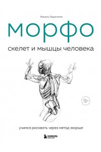 Лауричелла М. МОРФО. Скелет и мышцы человека. Анатомия для художников