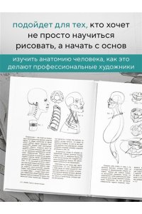 Лауричелла М. МОРФО. Скелет и мышцы человека. Анатомия для художников