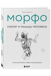 Лауричелла М. МОРФО. Скелет и мышцы человека. Анатомия для художников