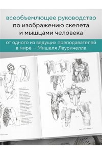 Лауричелла М. МОРФО. Скелет и мышцы человека. Анатомия для художников