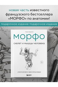 Лауричелла М. МОРФО. Скелет и мышцы человека. Анатомия для художников
