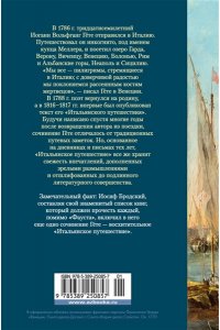 Гёте И.В. Итальянское путешествие (с илл.)