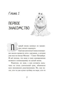 Александрова И. Мистер Кто. Детектив из Петербурга