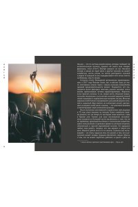 Японизм. Культовые книги японской философии и мудрости (к-т из 3 книг)