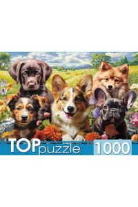 ПАЗЛЫ 1000 TOPPUZZLE ВЕСЕЛОЕ СЕЛФИ ЩЕНКОВ Ф1000-3868 (8686)
