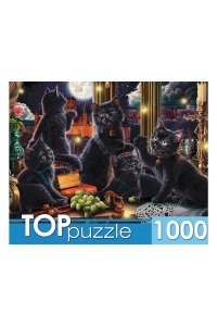 ПАЗЛЫ 1000 TOPPUZZLE ЧЕРНЫЕ КОТЯТА И СВЕТЛЯЧКИ Ф1000-3869 (8693)