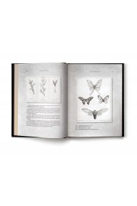 Воскреситель, или Анатомия фантастических существ: Утерянный труд доктора Спенсера Блэка