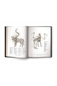 Воскреситель, или Анатомия фантастических существ: Утерянный труд доктора Спенсера Блэка