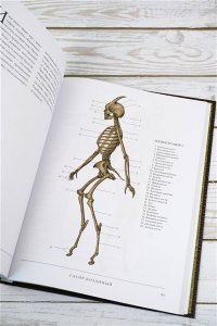 Воскреситель, или Анатомия фантастических существ: Утерянный труд доктора Спенсера Блэка