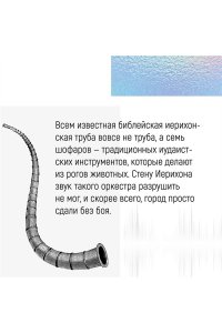 Кесслер К.-О. Шум. История человечества. Необыкновенное акустическое путешествие сквозь время и пространство