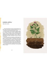Мостаччи А. Гримуар благополучия. Как найти опору внутри и жить без тревог