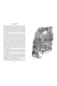Берроуз Э.Р. Тарзан из племени обезьян. Возвращение Тарзана. Тарзан и его звери