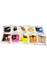 НАСТ ИГРА HOBBY WORLD ВЗРЫВНЫЕ КОТЯТА (10+) АРТ.915083 (0832)