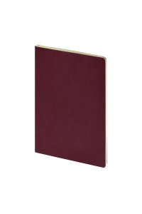 ТЕТР 40 КЛЕТ А4 БИЗНЕС BRUNO VISCONTI PRAGMATIC БОРДОВЫЙ 7-40-1249/06 (3661)