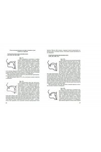 Логопедия. Теория и практика