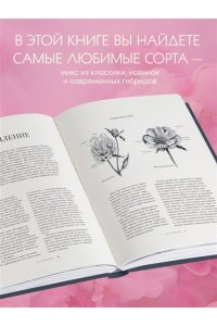 Пионы. Роскошные цветы для дома и сада