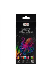 КАРАНДАШИ 12ЦВ КЛАССИЧЕСКИЕ ЧЕРН ДЕРЕВО ГАММА /ЕВРОПОДВЕС/ CP12BW_112025 (2047)