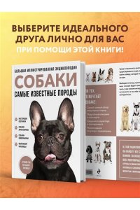 Сула Г.Ю., Яворская-Милешкина Е.В., Сафронова А.А. Самые известные породы. СОБАКИ. Большая иллюстрированная энциклопедия
