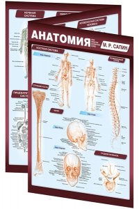 Сапин М.Р. Анатомия. Самая компактная анатомическая таблица