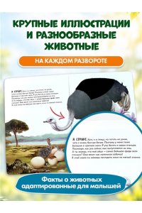 Рассмотри и погладь! (панда)