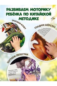 Рассмотри и погладь! (панда)