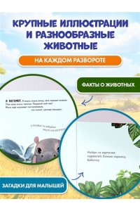 Рассмотри и погладь! (жираф)