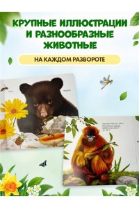 Дикие животные