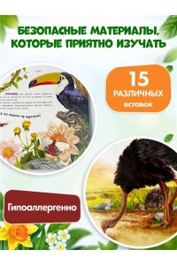 Дикие животные