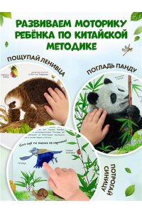 Дикие животные