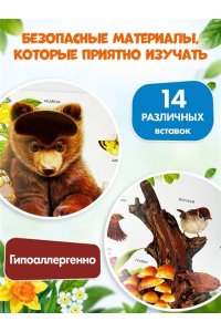 Лесные животные