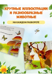 Лесные животные