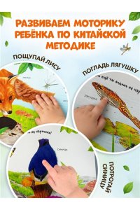 Лесные животные
