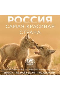 Россия самая красивая страна. Фотоконкурс 2025