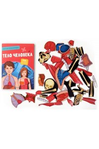 Тело человека. Интерактивная детская энциклопедия с магнитами