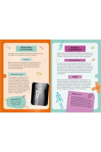 Тело человека. Интерактивная детская энциклопедия с магнитами