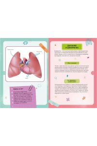 Тело человека. Интерактивная детская энциклопедия с магнитами