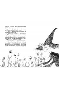 Кейлти Д. Маленькая волшебница Айви Ньют. Проклятие тёмной королевы. Книга 4