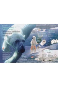 Бертонатти К., Перейра Х. А. Тайны животных. Большая иллюстрированная энциклопедия