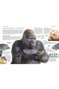 Бертонатти К., Перейра Х. А. Тайны животных. Большая иллюстрированная энциклопедия