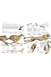 Бертонатти К., Перейра Х. А. Тайны животных. Большая иллюстрированная энциклопедия