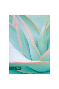 ЗАПИСН КН 100Л А5 ЭКСМО SOFT TOUCH (КЛЕТКА+ТОЧКА) ALOE КЗ51003516